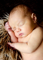 Baby E {newborn portraits}